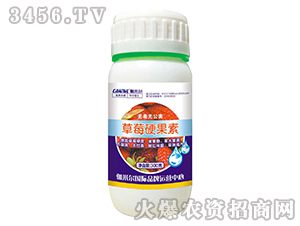 草莓硬果素-木禾佳寶