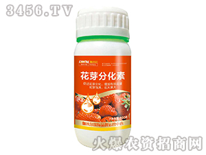 花芽分化素-木禾佳寶