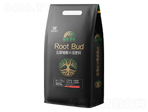 1200gֲˮܷ-ѿ-nr