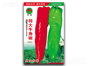 شţǽ-ţǽN-ʢNI