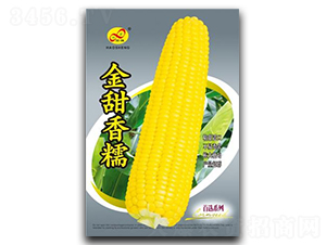 Ŵ-Ŵ׷N-ɷNI