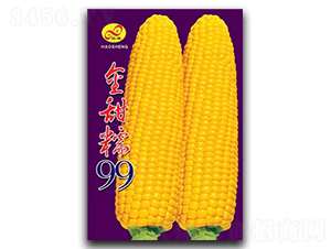 Ŵ99-Ŵ׷N-ɷNI