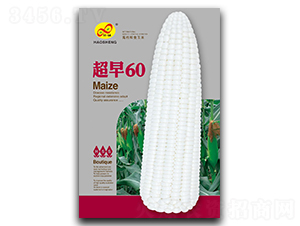 60-Ŵ׷N-ɷNI