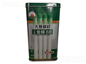 ϵ88̖-[N-rI