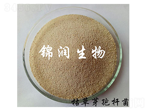 枯草芽孢桿菌-錦潤生物