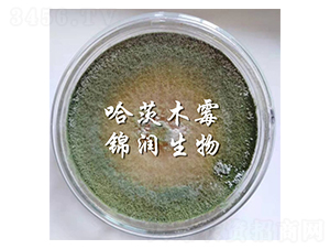 哈茨木霉菌-錦潤生物