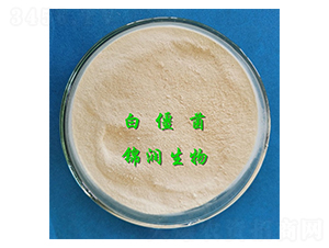白僵菌-錦潤生物