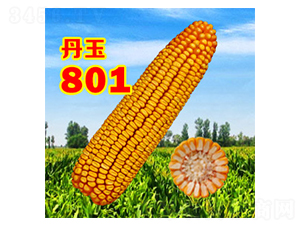 801-׷N-NI