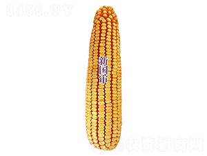 ԣS620-׷N-ԣSNI
