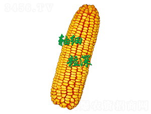ԣS621-׷N-ԣSNI