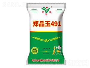 Ʒ491-sN-ԷNI