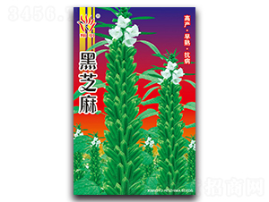 ֥-֥N-ܷNI