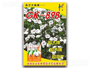GK-898-޻N-rI