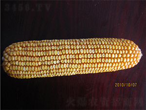 r8-׷N-rNI