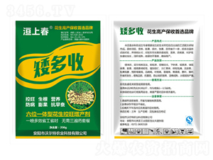 花生控旺增產矮多收-洹上春-沃爾特 