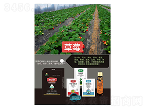 砀Mײͣݮ(zhun)ã-Ϸ·-ZM(mn)
