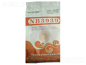 NB3939տN-NI