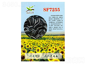 SF7255տN-NI