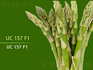 UC157F1-JSN-TSrI