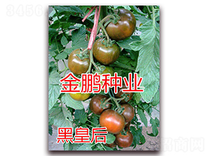 ڻʺ-ҷѷN-|ZrI