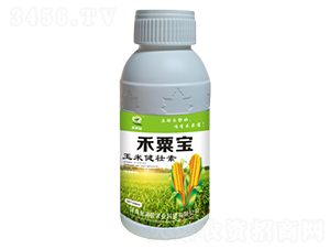 玉米健壯素-禾粟寶-金滿盈