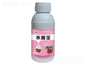 紅薯健壯素-禾粟寶-金滿盈