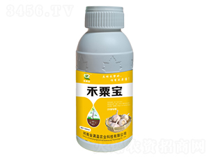 大蒜健壯素-禾粟寶-金滿盈