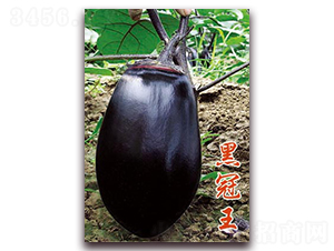 ڹ-ӷN-ѹNI