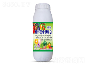 1000ml\}⛵-ʥϝ