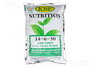 IB(yng)14-6-30-عڸ