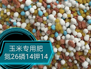 玉米專用肥26-14-14-悅農農業