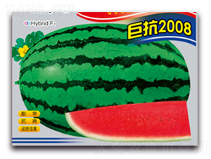 ޿2008-ϷN-ӯrI