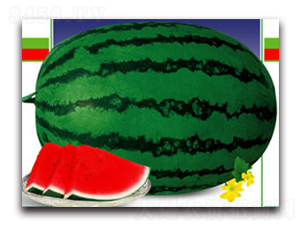 ̖-ϷN-ӯrI