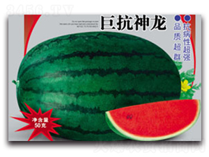޿-ϷN-ӯrI