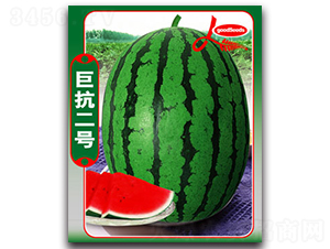 ޿̖-ϷN-ӯrI
