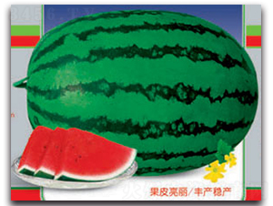 ޿̖-ϷN-ӯrI