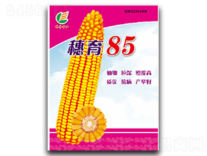 85-׷N-SNI