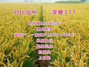 377-ˮN-ƷNI