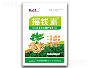 花生控旺增產專用-搖錢素作物 