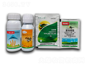 異丙隆+唑啉草酯+氟唑磺隆+農用助劑-豐收樂