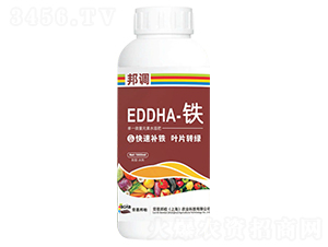 EDDHAF-{(dio)-ڶ