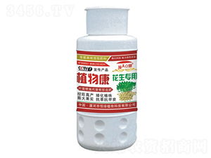 (zhun)ֲ￵--Gֲ
