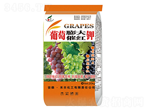 葡萄膨大催紅鉀-禾豐