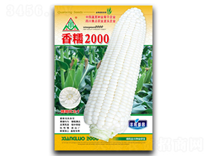 Ŵ2000-Ŵ׷N-ȫdNI