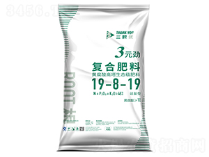 3ԪŏͺϷ19-8-19-w-ѬY