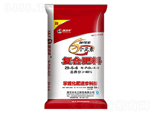6Ԫ؏ͺϷ29-5-650kg-ʩS