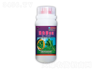 mÏ(qing)ԭ{-