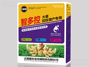 大姜控旺增產(chǎn)專用肥-智多控-正能量