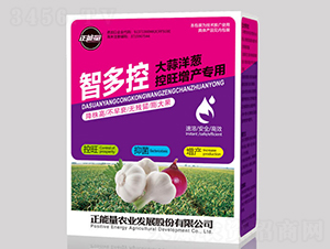大蒜洋蔥控旺增產(chǎn)專用肥-智多控-正能量