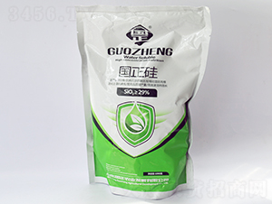 1000g國正硅-正能量